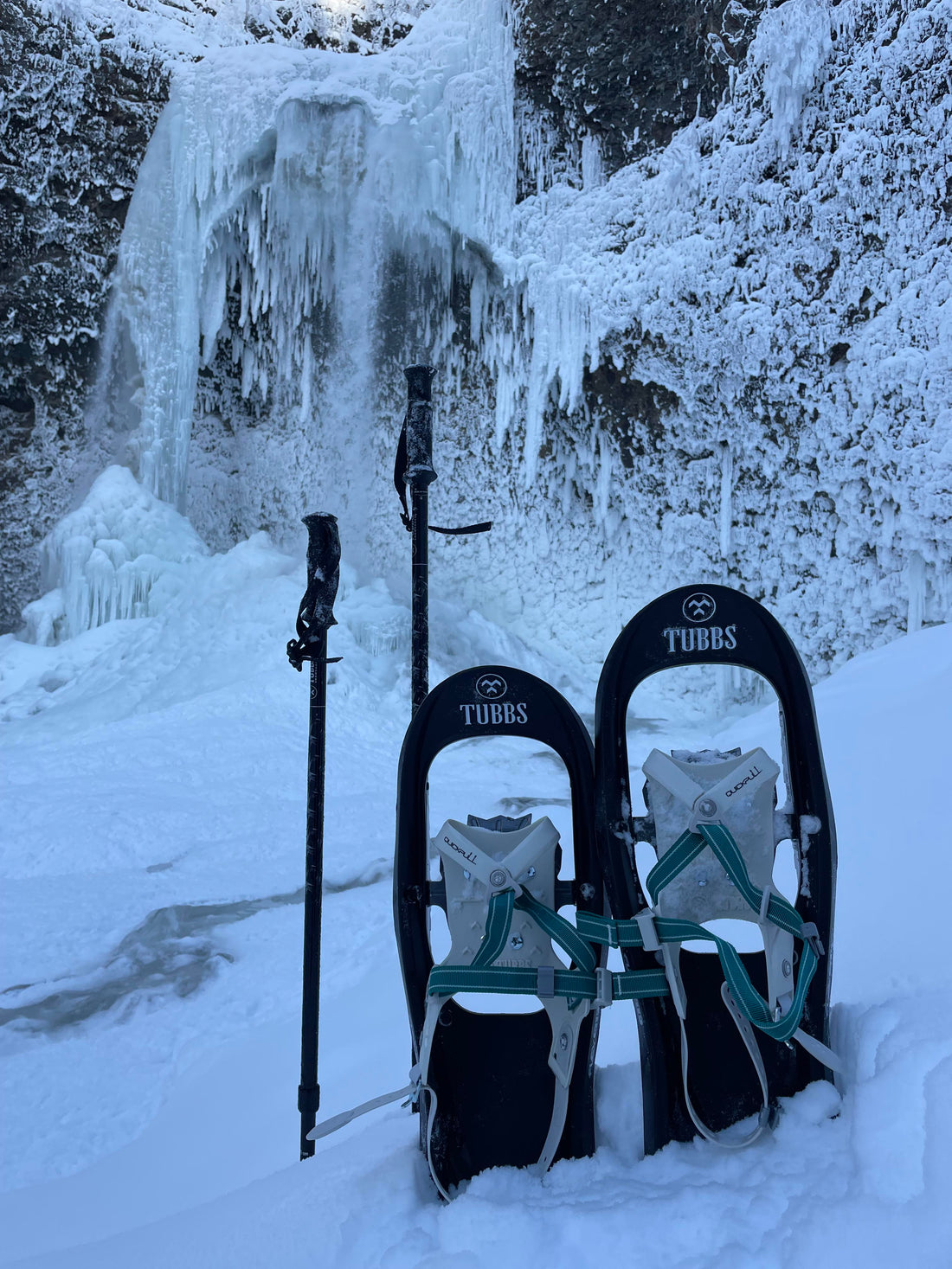 Snowshoeing In Wells Gray Park
