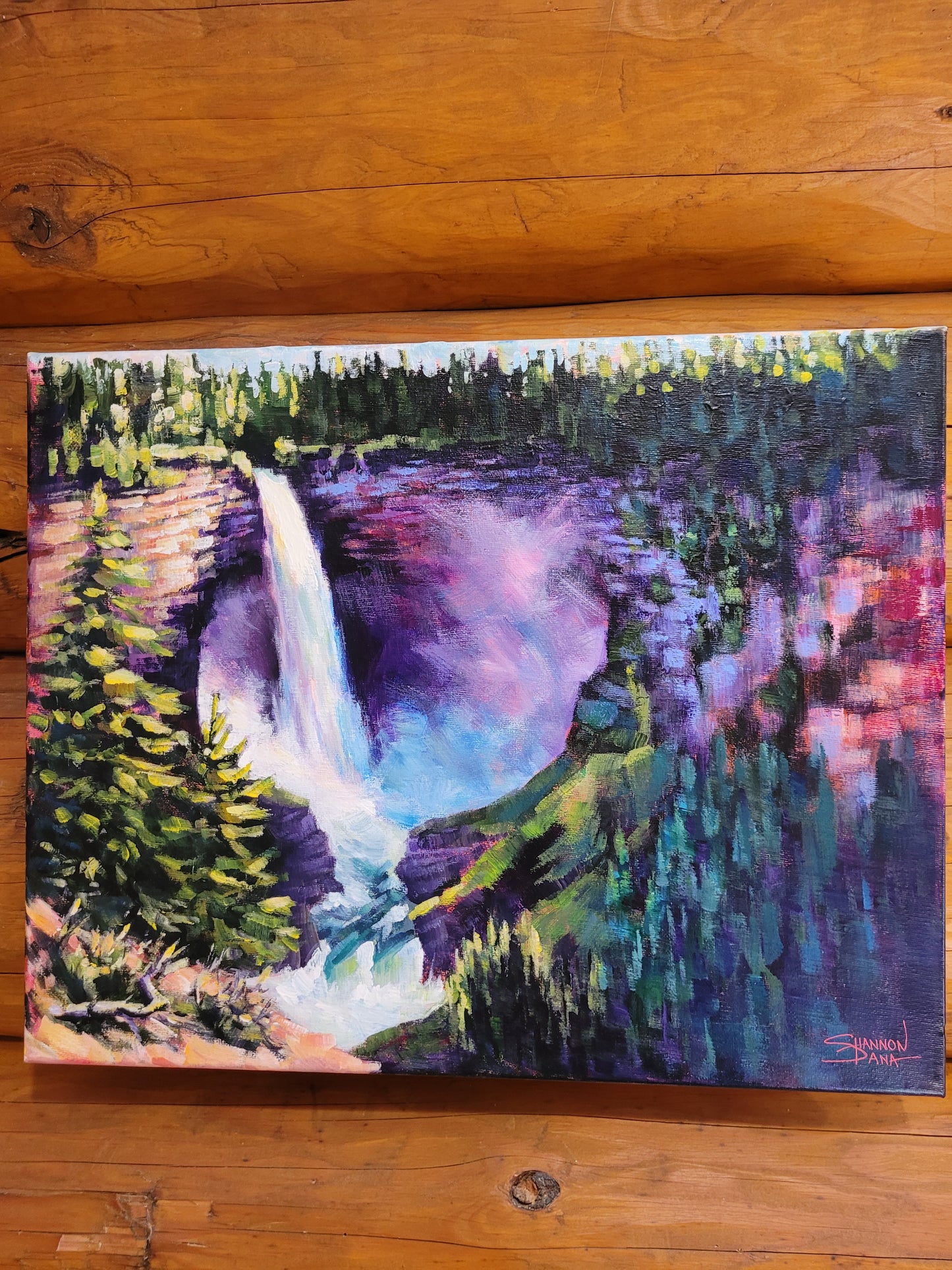 Helmcken Falls - Shannon Dana