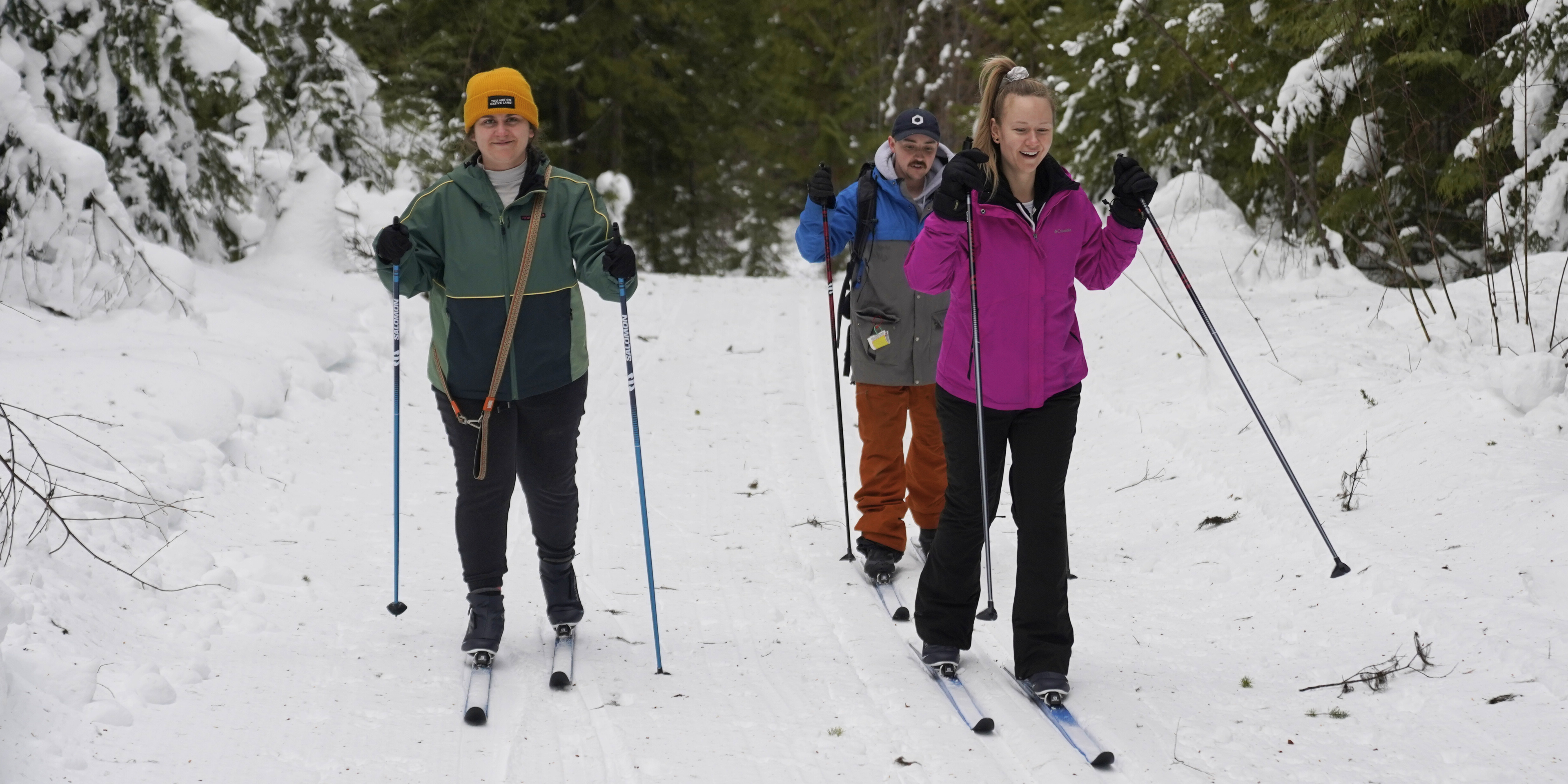 Three people cross-country skiing in Wells Gray Park