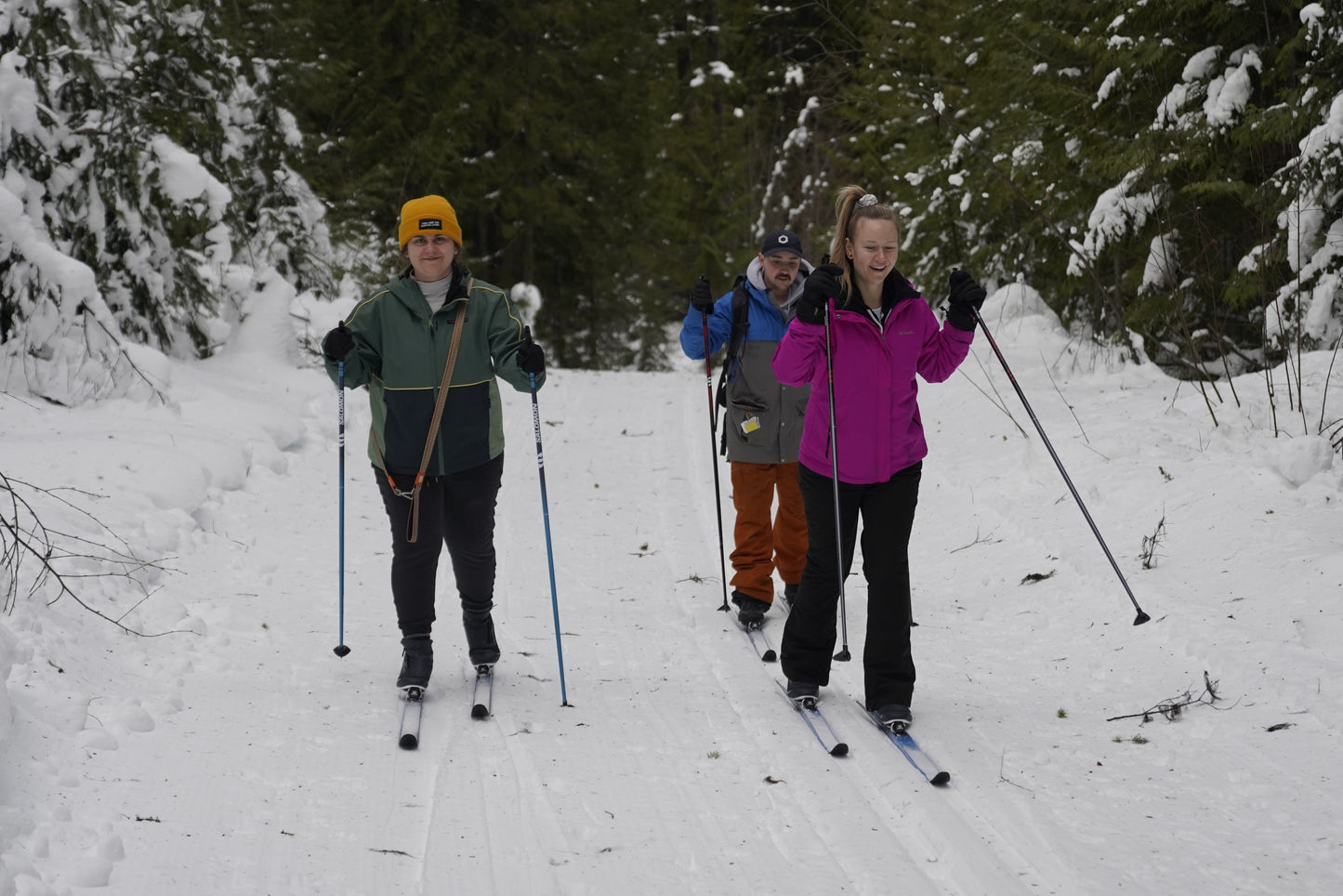 A group of cross country skiers at Candle Creek using rental skis from Wells Gray Outfitters in Clearwater