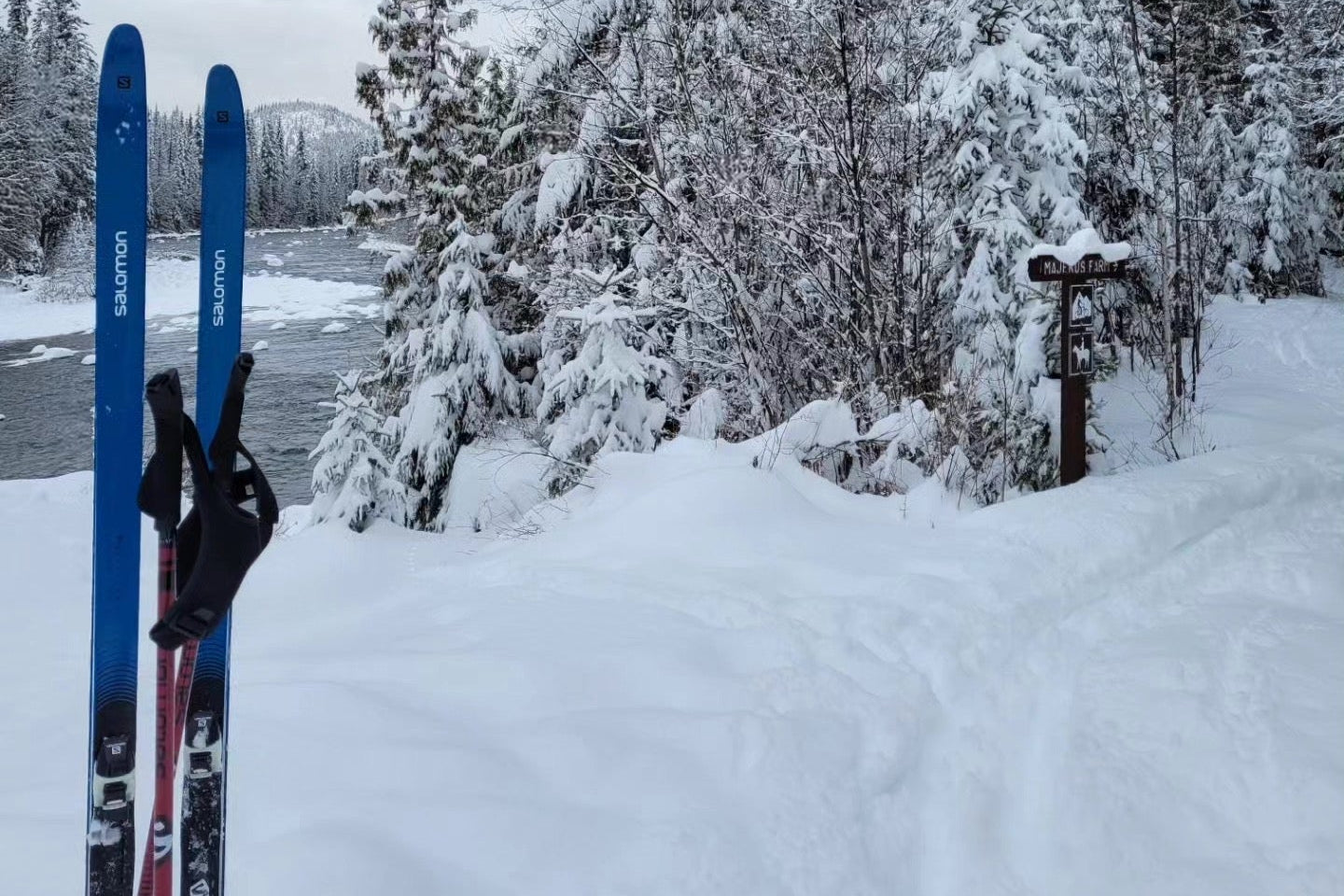Skis standing upright in the snow with a snowy landscape with the Murtle River and Pyramid Mountain in the background.