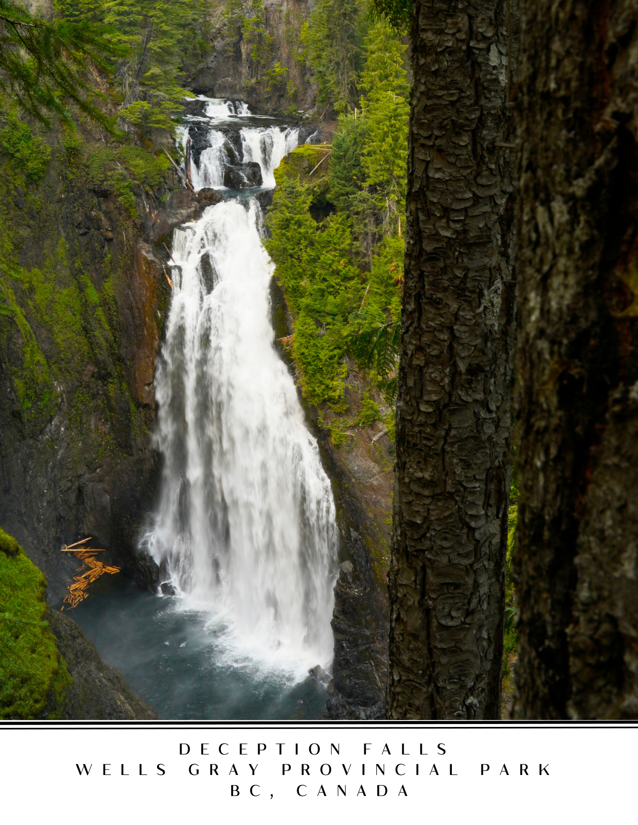 Wells Gray Postcard