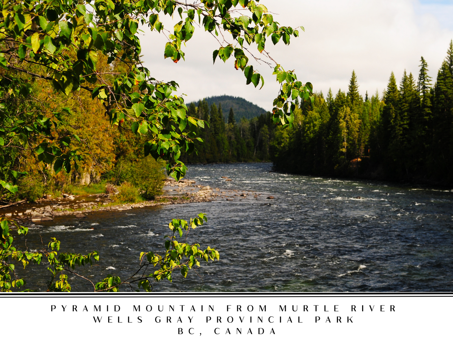 Wells Gray Postcard