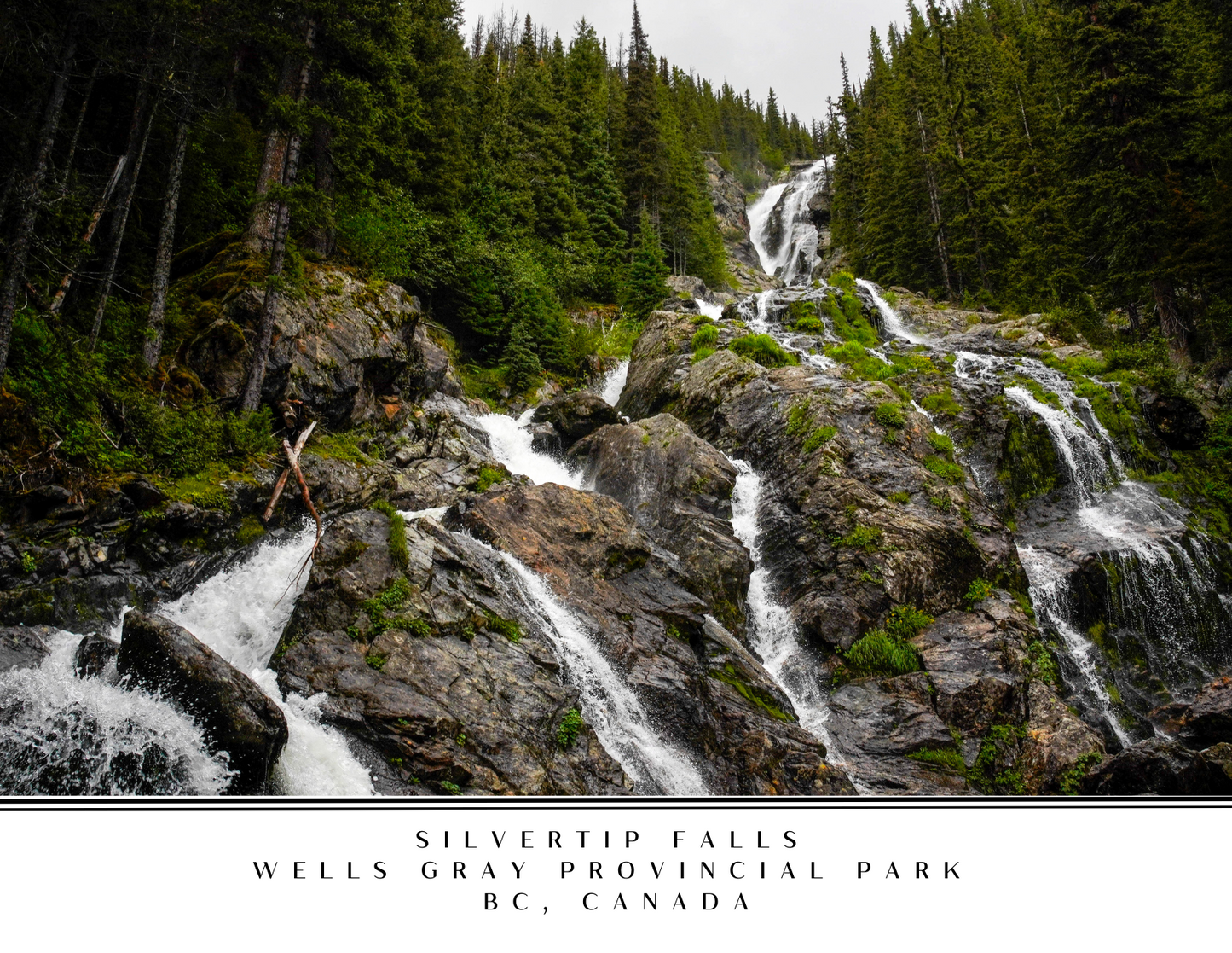 Wells Gray Postcard