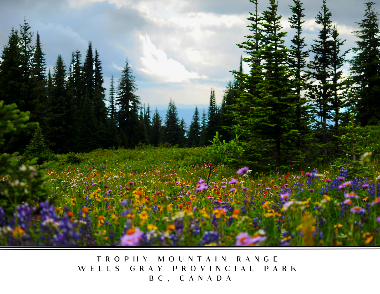 Wells Gray Postcard