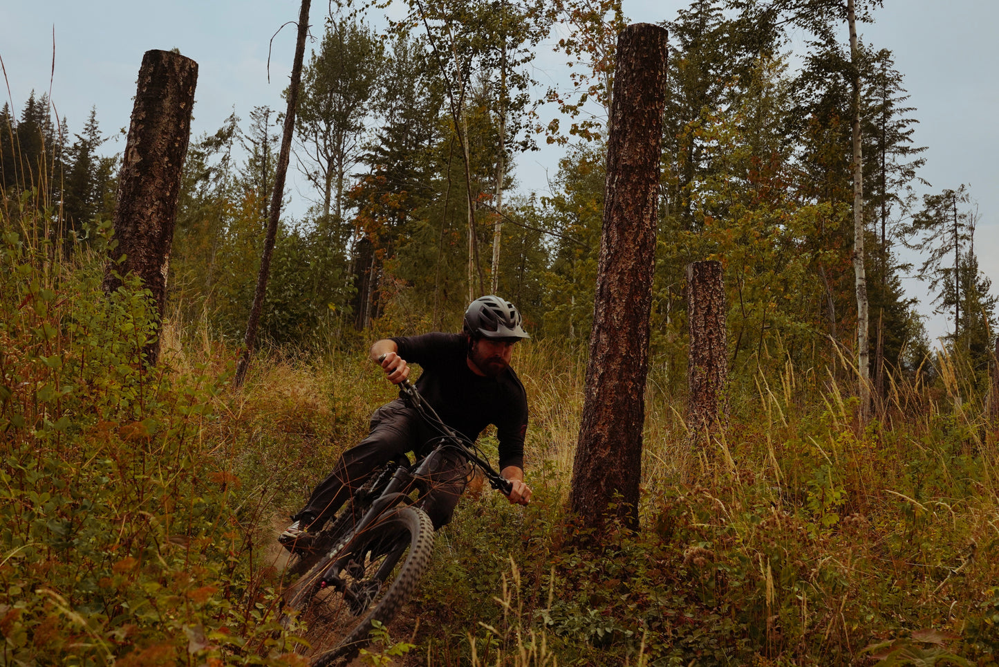 Premium Mountain Bike Rental