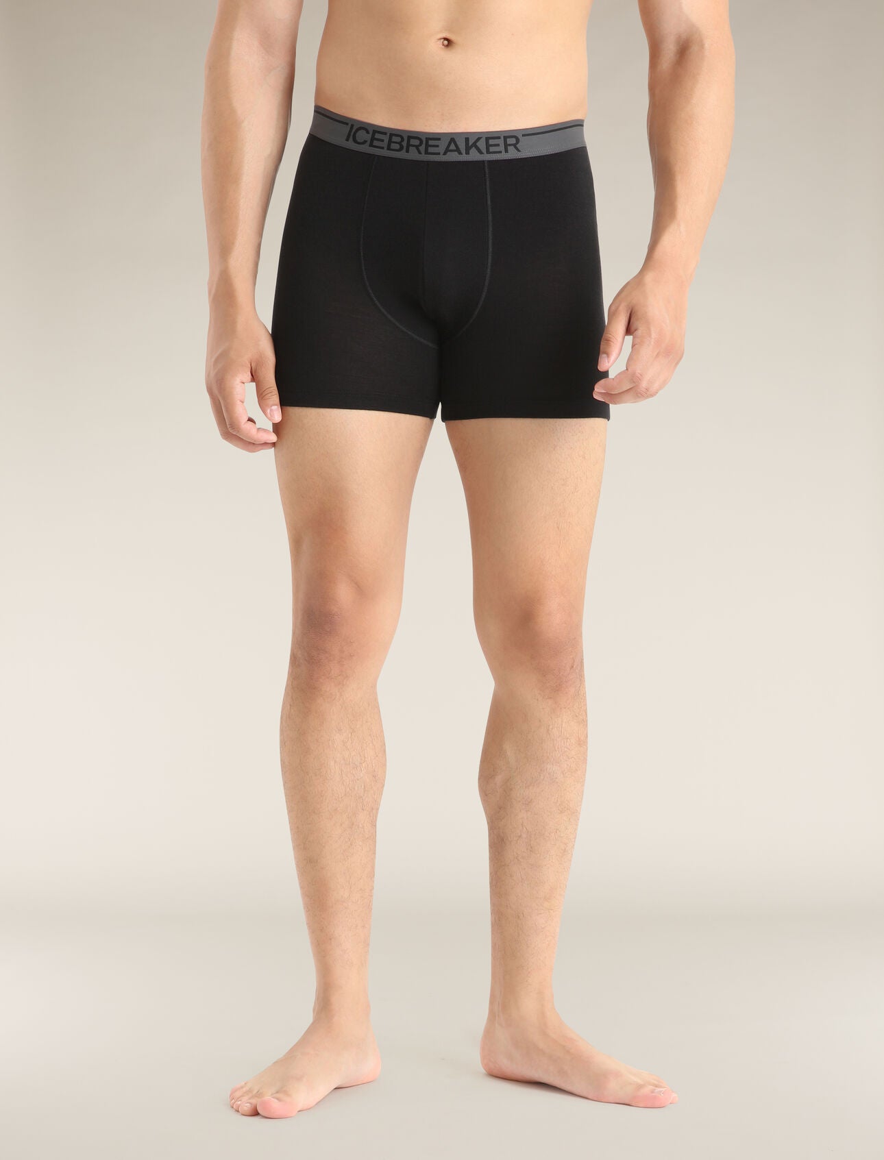 Icebreaker Men's Merino Anatomica Boxers With Fly