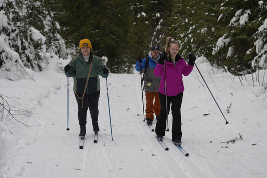 A group of cross country skiers at Candle Creek using rental skis from Wells Gray Outfitters in Clearwater