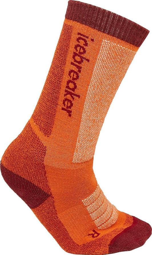Icebreaker Kids Merino Blend Ski+ Medium Over the Calf Socks