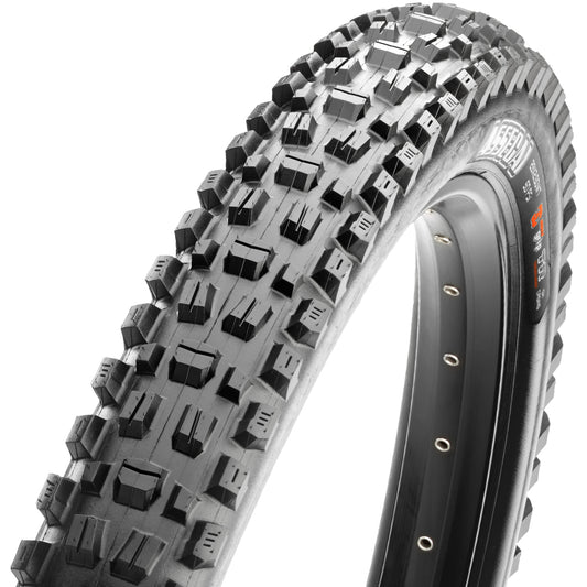 Maxxis Assegai EXO 3C MaxxTerra Tire