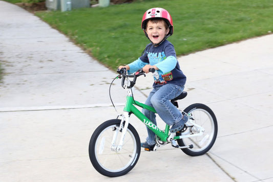 Kids Bike Tune Up - No Gears